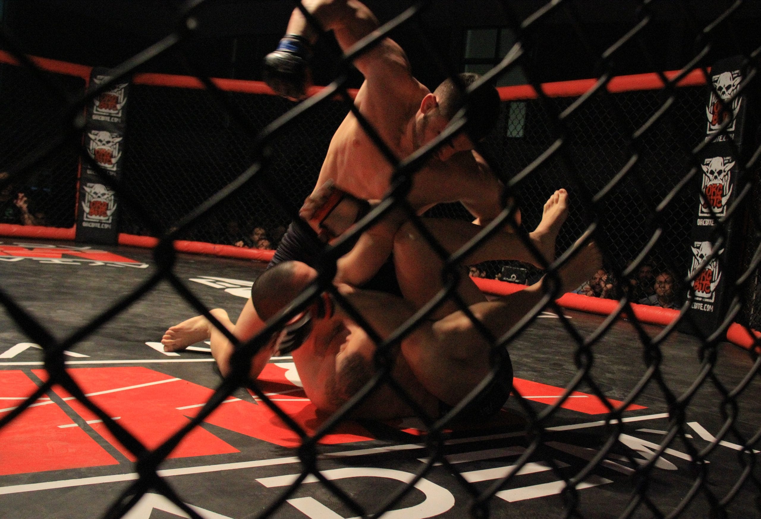 Andreas Tricomitis delivering ground and pound from top position during his Fight Ikon amateur MMA bout